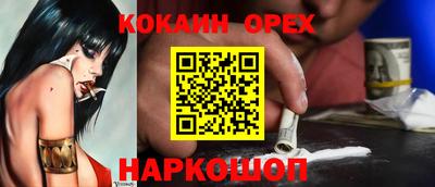 крисы Кинель
