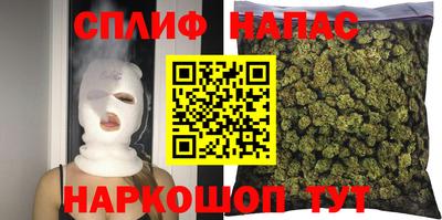 a pvp Кингисепп