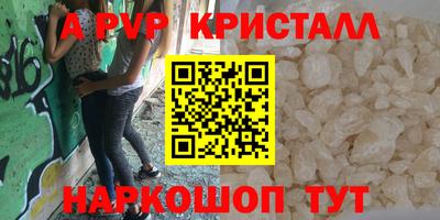 a pvp Кингисепп