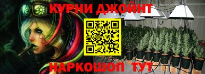 a pvp Кингисепп