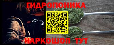 a pvp Кингисепп