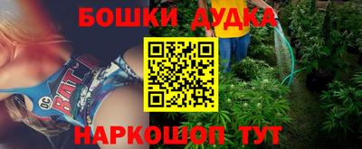 a pvp Кингисепп