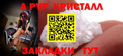 a pvp Кингисепп