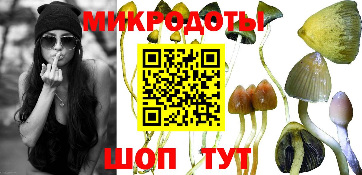 Крымск  Галлюциногенные грибы мухоморы  Вход с VPN 